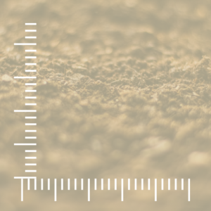 Quadrante 1009