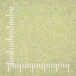 Quadrante 10