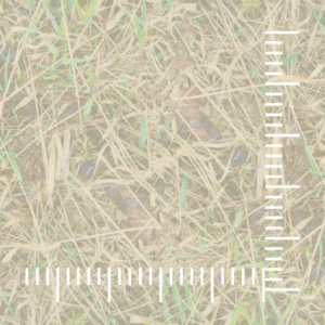 Quadrante 12