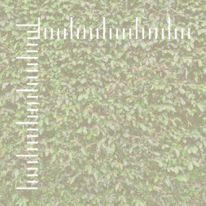 Quadrante 7